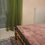 Dina's Luxury Apartment- Trikala, Farkadona